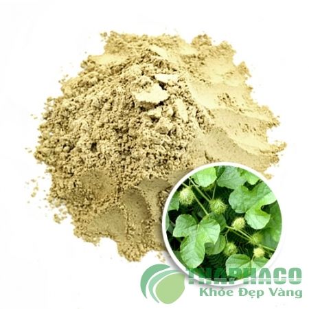 Bột Lá Lạc Tiên (Nhãn Lồng) | Bột Thực Phẩm
