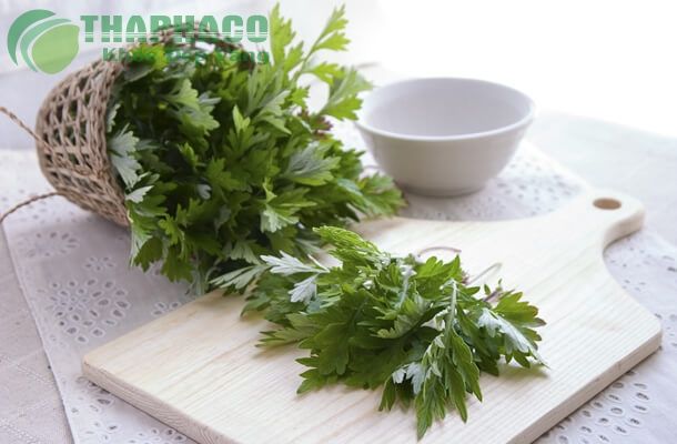 Công dụng của Yomogi - lá ngải cứu Nhật Bản đối với sức khỏe - Mira Chan's  kitchen