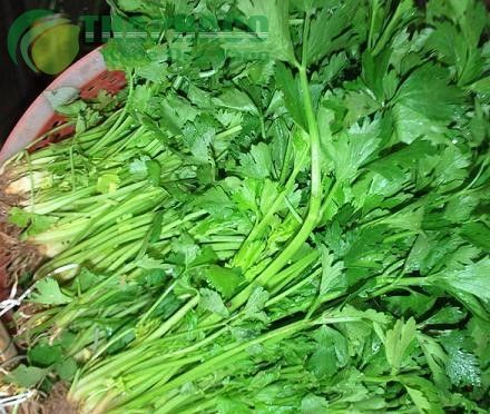 Tác dụng bất ngờ của rau cần tây đối với sức khỏe