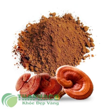 Bột nấm linh chi đỏ | Bột Thực Phẩm