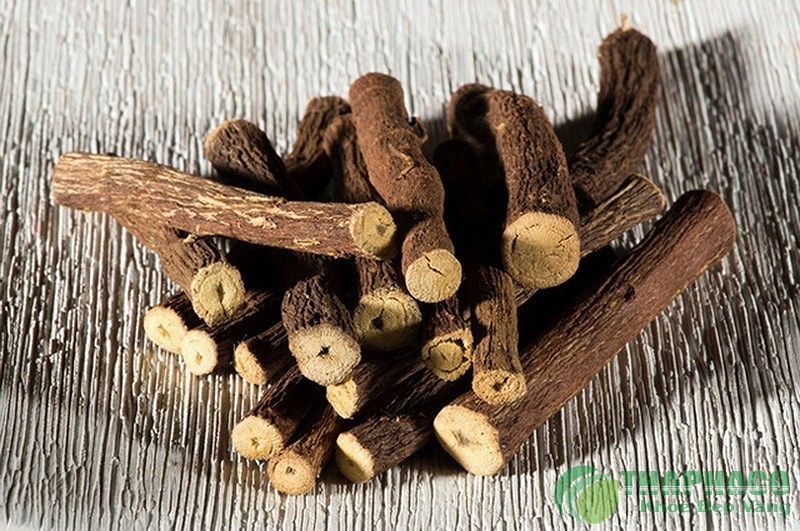 Cây cam thảo và tác dụng chữa bệnh tuyệt vời không phải ai cũng biết - Cây  Thuốc Chữa Bệnh