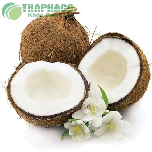 11 bí quyết tự làm cốt dừa tại nhà đơn giản, thơm ngon và tiết kiệm
