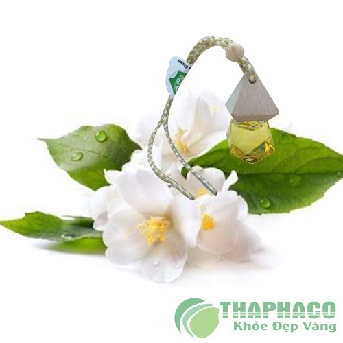 Chuyên tinh dầu thiên nhiên tại Mỹ Tho Tiền Giang | Cửa hàng tinh dầu  nguyên chất uy tín tại Mỹ Tho