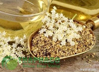 Thảo Dược Xông Mặt Hoa Khô Trị Mụn Chìm- Phục Hồi Da Giá Sỉ Lẻ Có Bán Theo  Kg