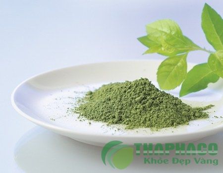 Shop bột trà xanh Hà Nội - Bột trà xanh nguyên chất Hà Nội