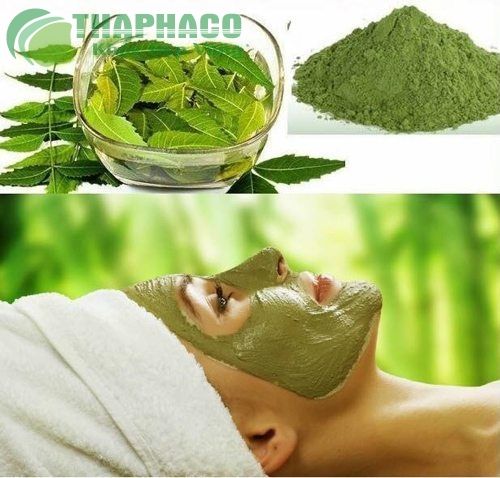 Những lợi ịch khi sử dụng bột lá neem ~ Bột lá Neem Ấn Độ - Thần dược cho  sức khỏe và sắc đẹp