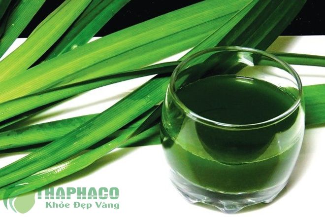 Bài thuốc từ lá dứa thơm - VnExpress Sức khỏe