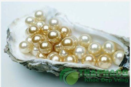 Nghề nuôi ngọc trai Phú Quốc - Báo Thái Bình điện tử