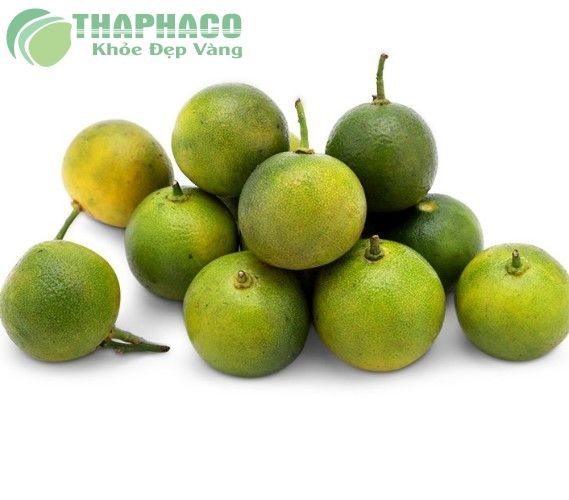 HƯƠNG LIỆU THỰC PHẨM - HƯƠNG TẮC DẠNG BỘT - MQ International | Flavors &  Foods Ingredients