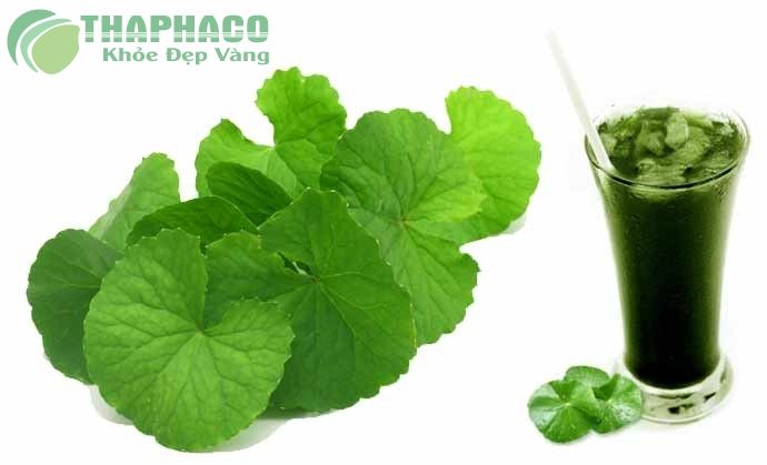 Bột Rau Má Nguyên Chất