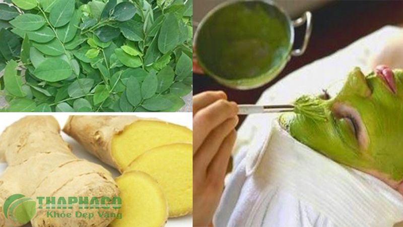 BỘT RAU NGÓT NGUYÊN CHẤT | Nguyên liệu bột thiên nhiên