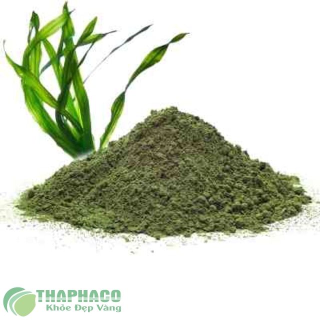 Mua bột tảo biển đắp mặt nạ ở đâu