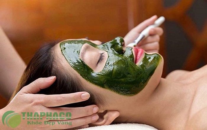 Mua bột tảo biển đắp mặt nạ ở đâu