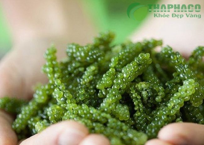 Giá Tảo Spirulina Nhật Bản chính hãng cao cấp bao nhiêu?