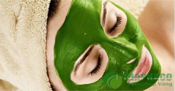 Tổng hợp các công thức đắp mặt nạ với Matcha - BonaMatcha - Japanese Green  Tea & More