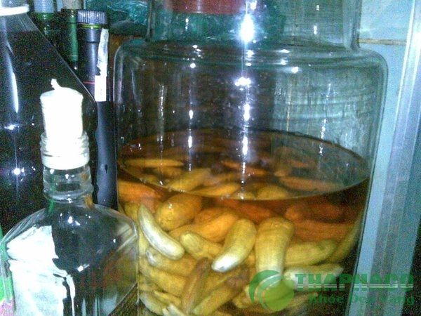 Cách ngâm rượu chuối hột tươi bổ dưỡng cho cơ thể | Công ty Nhân Sâm Linh  Chi Onplaza