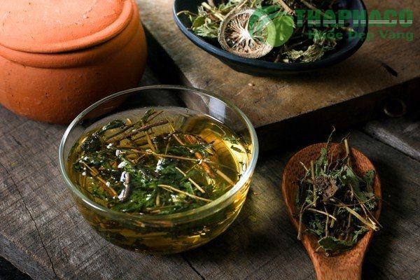 5 Điều có thể bạn chưa biết về cỏ ngọt.
