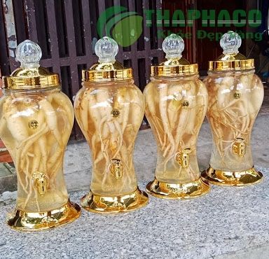 Đẳng sâm là gì? Có tác dụng gì? Cách ngâm rượu đẳng sâm, giá bao nhiêu
