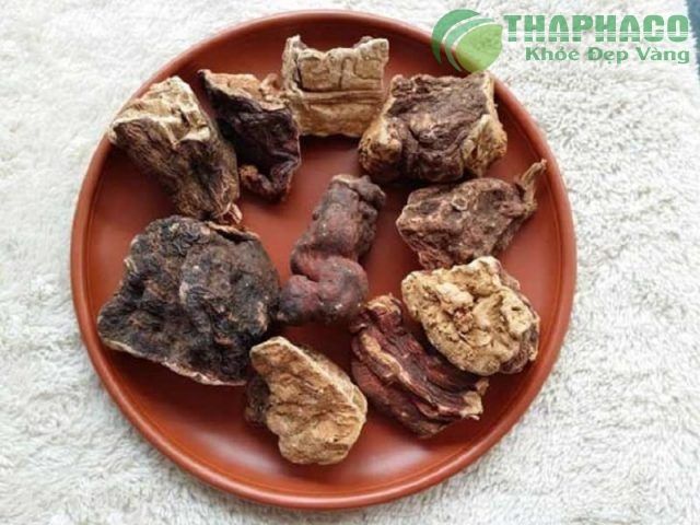 Hà Thủ Ô - Cách Nhận Biết, Công Dụng Và Các Bài Thuốc Chữa Bệnh