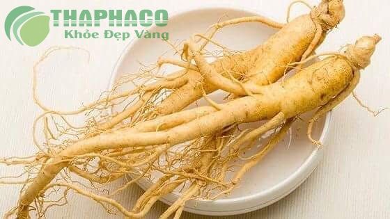 Nhân sâm có tác dụng thế nào đến sức khoẻ? | baotintuc.vn