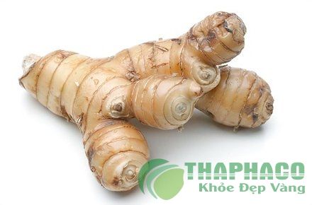 Loại củ rẻ bèo giá vài ngàn 1kg nhưng chống 8 bệnh ung thư, cải thiện chức  năng sinh sản và phòng tim mạch