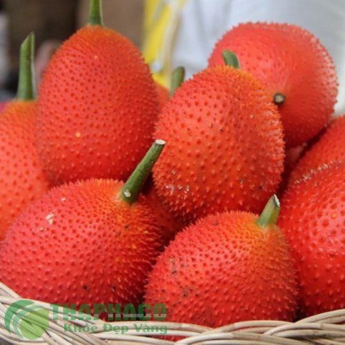 4 Quả gấc tươi