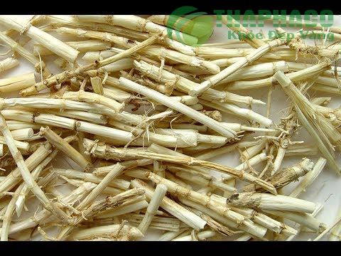 Các bài thuốc của rễ cỏ tranh