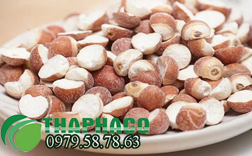 Địa Chỉ Bán Sỉ Khiếm Thực Tại TP.HCM