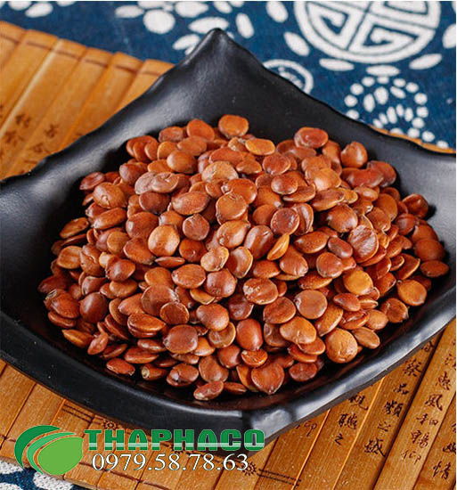 Chỗ bán sỉ táo xa nhân khô tại TP.HCM