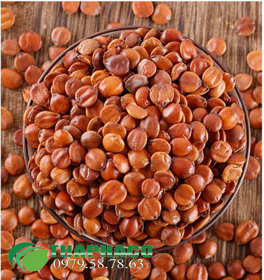 Nên mua táo xa nhân ở đâu tại TP.HCM ?