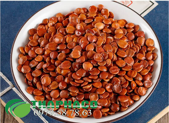 Công ty bán sỉ toan táo nhân khô tại TP.HCM 