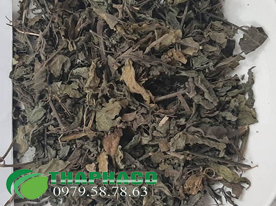 Mua cây nở sấy khô ở đâu tại TP.HCM