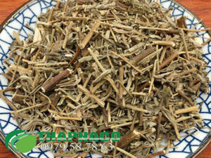 huong nhu THAPHACO 1