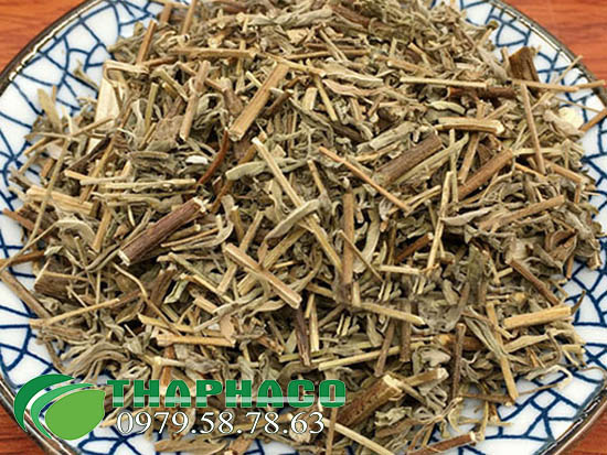 Địa chỉ bán sỉ hương nhu sấy khô giá sỉ tại TP.HCM