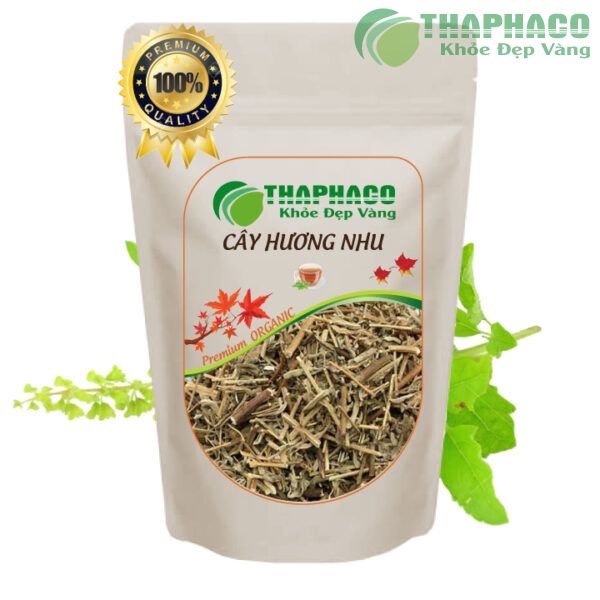 Đại lý phân phối sỉ cây hương nhu tại TP.HCM