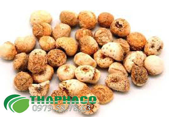 Bán Hạ Khô Tại TP.HCM