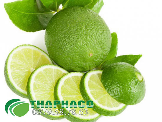 Chanh Tươi Tại TP.HCM