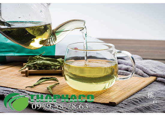 Trà cỏ ngọt THAPHACO