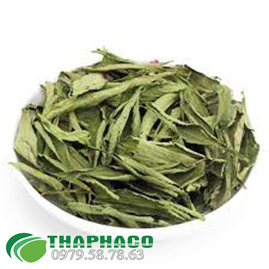 Cỏ Ngọt THAPHACO