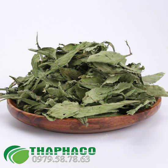 Chọn mua lá cỏ ngọt khô chất lượng cao như thế nào ?
