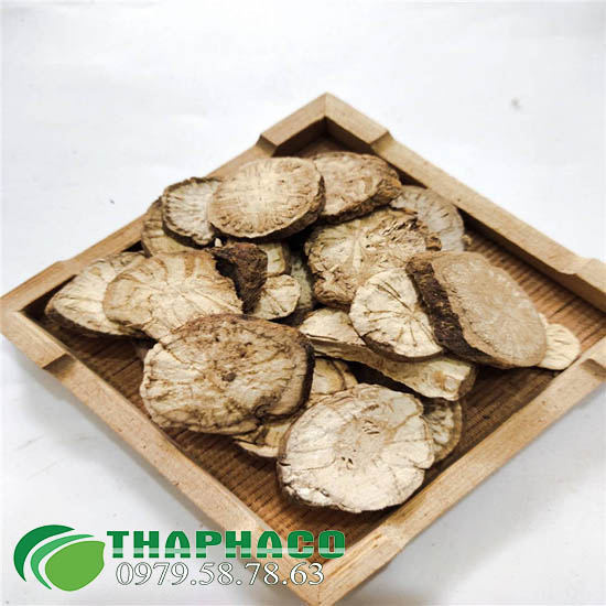 Mua Sỉ Củ Bình Vôi Tại TP.HCM ở THAPHACO