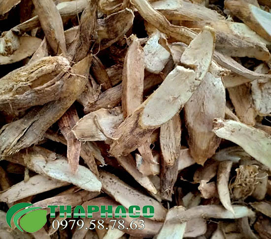 Bán Sỉ Củ Gai Tại TP.HCM