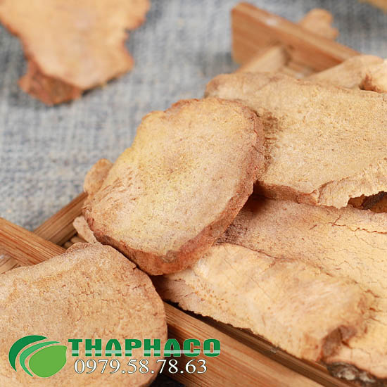 Mua Bán Sỉ Củ Khúc Khắc Tại TP.HCM Ở THAPHACO