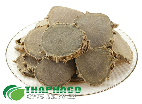 Nga Truật Tại TP.HCM