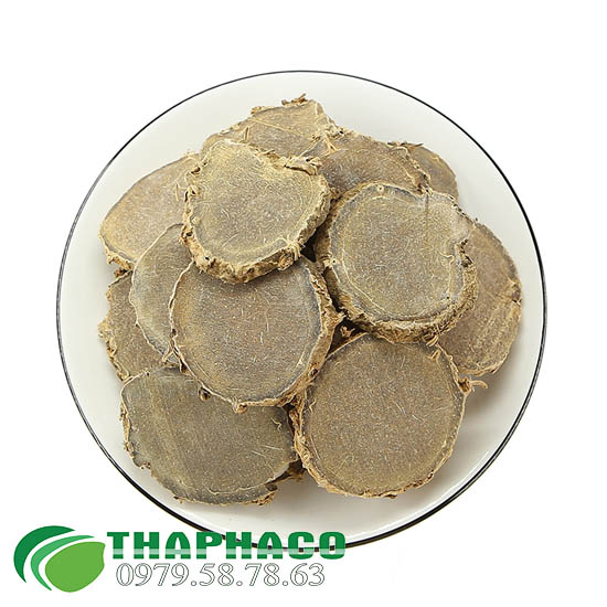 Nga Truật Tại TP.HCM