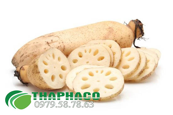 Củ Sen Tại TP.HCM