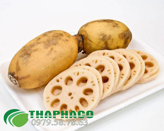 Củ Sen Tại TP.HCM