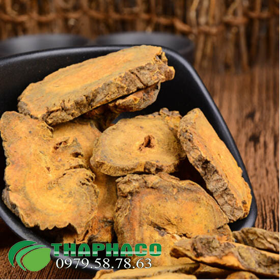 Bán Sỉ Đại Hoàng Tại TP.HCM