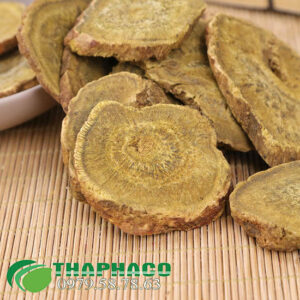 Bán Sỉ Đại Hoàng Tại TP.HCM