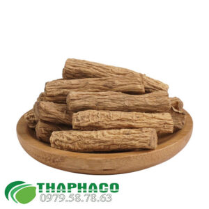 Đắng sâm tại TP.HCM